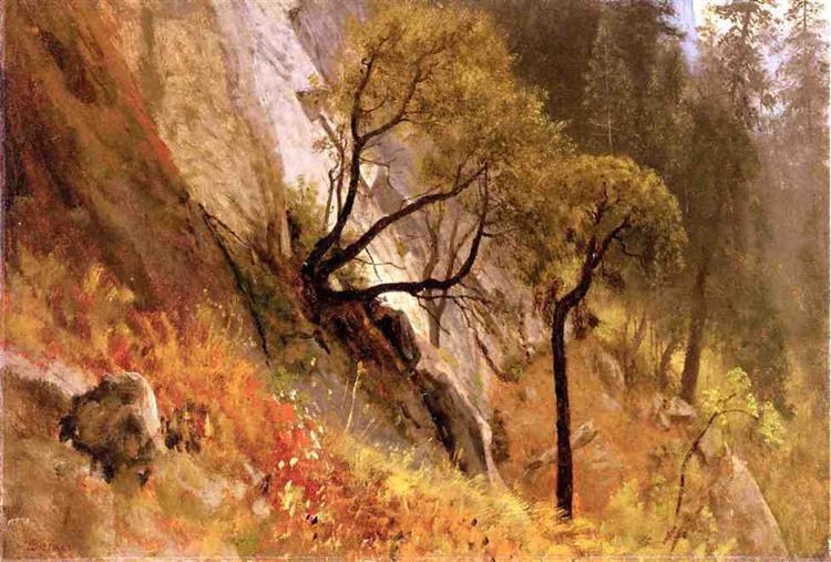 Albert Oil Painting Landscape Study, Yosemite, California - Click Image to Close